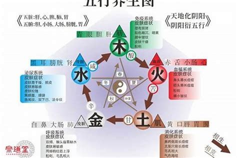 五行木旺缺水|五行缺水会怎么样 命里缺水的人应该怎么办